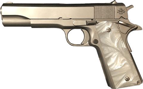 Image of GI Standard FS Matte Nickel 45ACP 8rd Gun
